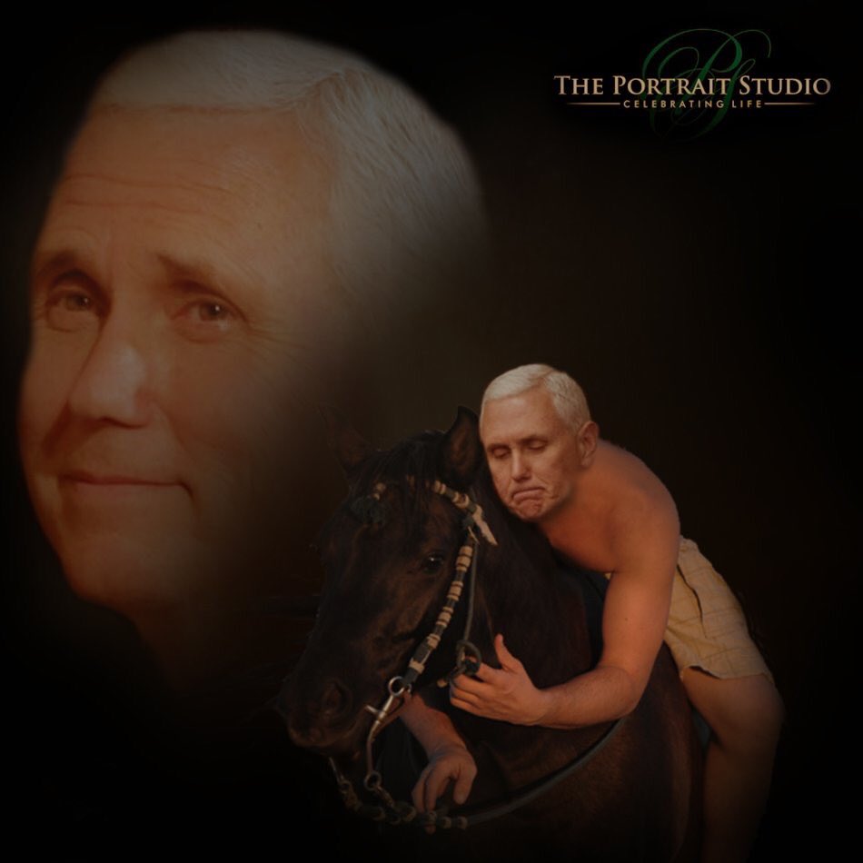 Mongoose_FC's tweet image. So excited for the happy couple!  I’m glad “mother” agreed to be sister wife.
Their are registered at @tackandsupplies 
#LoveWins
#BucketRequired