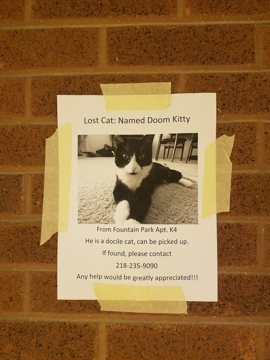 WickedWalnut's tweet photo. #DOOMKITTY is missing! https://t.co/bhgw33jcvE