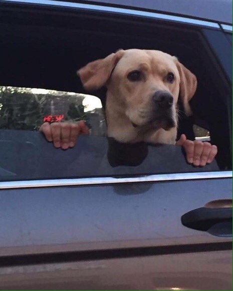 non aesthetic things (@picturesfoider) on Twitter photo 