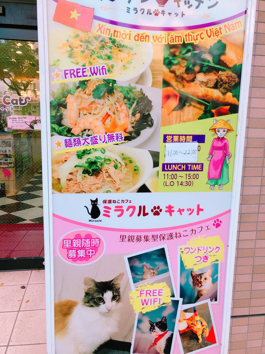 保護ねこカフェ ミラクルキャット かわいい保護ねこたちが待ってます ガラス越しにおいしいベトナム料理を食べられます わたしがお手伝いで看板イラストを描きました 上のネットカフェは女性専用もあり寝れちゃう24時間 460 0024 愛知県名 周年の中川翔子