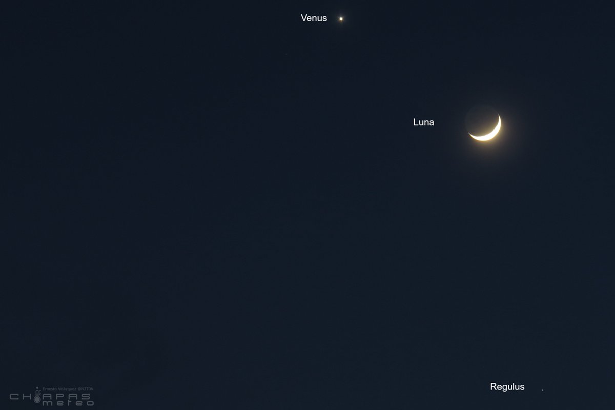 Ernesto Velázquez tweet media