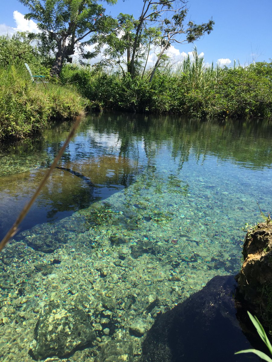 josued_gonzalez's tweet image. Zanja Fría, Arecibo Puerto Rico📍🍃