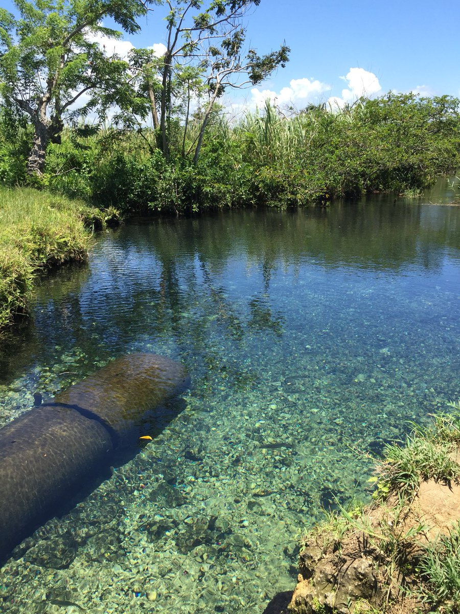 josued_gonzalez's tweet image. Zanja Fría, Arecibo Puerto Rico📍🍃