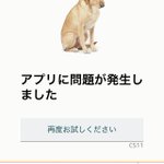 実はレア？Amazonのサーバーがダウンすると色々な犬の写真が表示される!