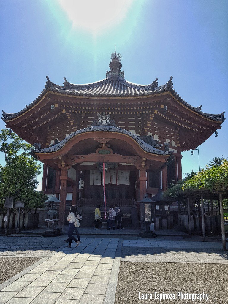 MissLE66's tweet photo. Kohfuku-ji temple
Nara,japan
#narajapan #narasightseeing #naratemples #theview #naraphotography #nara https://t.co/rxyNVJTKiM