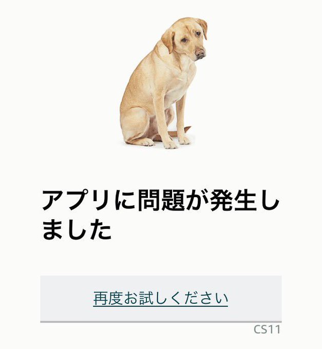 犬 Amazonプライムデー サーバエラー画面で色々な犬が表示されると話題に まとめダネ 犬 Amazonプライムデー サーバエラー画面で色々な犬が表示されると話題に まとめダネ
