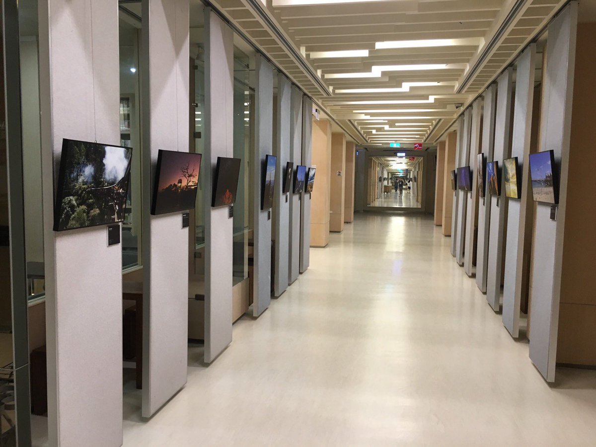 AusOfficeTPE's tweet image. Check out our award winning #WorkingHolidayMaker photo exhibition on display at @fengchiauniv (Taichung) this summer until 31 July!