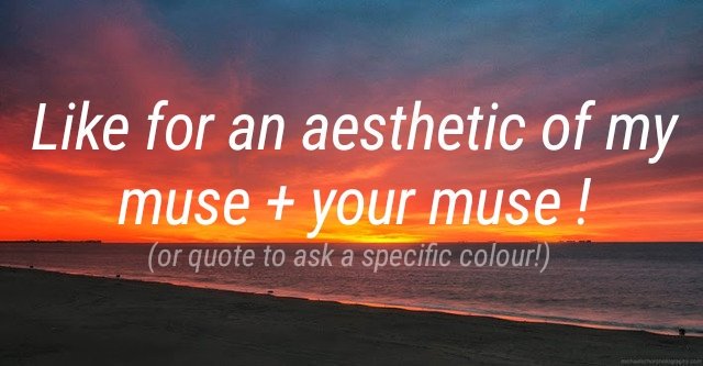 𝘉𝘢𝘮𝘣𝘪 𝘈𝘮𝘰𝘳 (@quodfele) on Twitter photo 