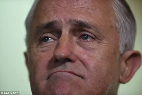 AngryGranny1's tweet image. Oh dear, looks like #myHealthRecord is another IT disaster from Mr (I invented the Internet) #InnovationBoom Malcolm #CensusFail, #Fraudband #NBN Turnbull. What a #Fizzer! #Mayo #auspol