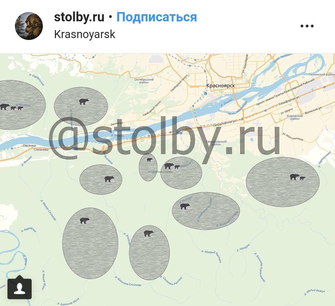 Карта обитания медведей в московской области