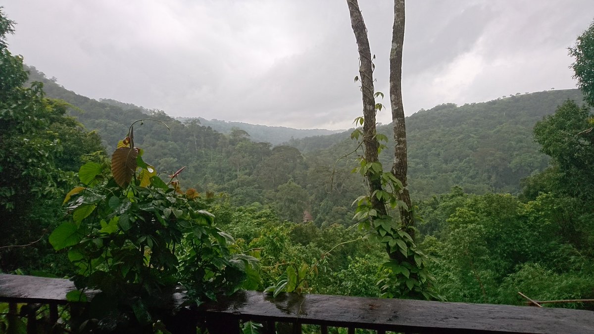 Finally got to start Eve Of Man yesterday whilst having some downtime on my trip in Cambodia. Don't think there's a better view than this whilst enjoying it! <a href="/MrsGiFletcher/">Giovanna Fletcher</a> <a href="/TomFletcher/">Tom Fletcher</a> #newbook #Cambodia2018 #Mondulkiri