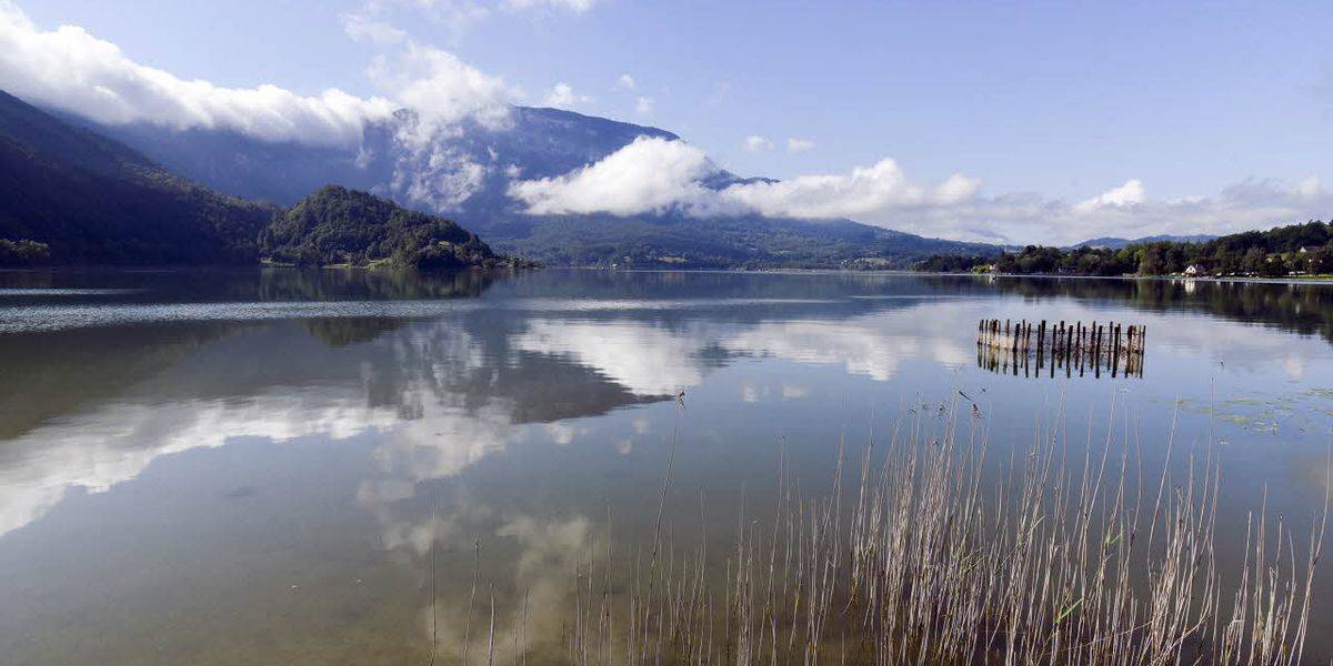 🌱🌿 🐝Pour préserver la #biodiversité de la région, les élus d'@auvergnerhalpes ont décidé de soutenir la création de 3 réserves naturelles régionales supplémentaires : bit.ly/2zJfO5l #RNR