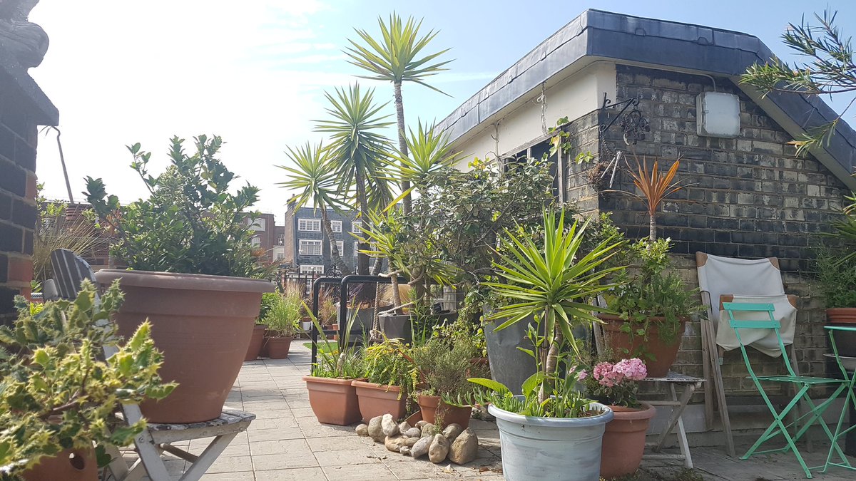 2NickJones's tweet photo. #Mayfair is full of amazing green spaces. #Biodiversity on the roof of Balderton Flats. @Grosvenor_LDN https://t.co/y4aUA36nYK