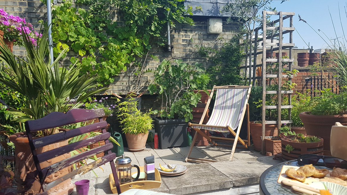 2NickJones's tweet photo. #Mayfair is full of amazing green spaces. #Biodiversity on the roof of Balderton Flats. @Grosvenor_LDN https://t.co/y4aUA36nYK