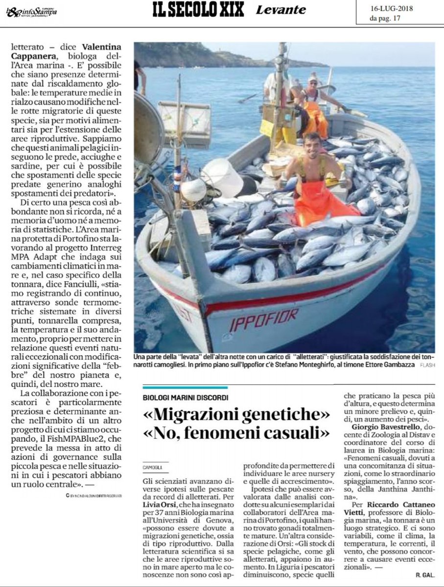 Continua il periodo fortunato della Tonnarella di Camogli con la serie positiva.
Le #Coop Pescatori Camogli e <a href="/Ziguele4sea/">ziguele</a> con le visite guidate all'unica Tonnarella del Mediterraneo ci aspettano!
<a href="/Ziguelita_Vale/">Valentina Cappanera</a> <a href="/GianGranero/">Gianluigi Granero</a> <a href="/GBerrino/">Gianni Berrino</a> #lamialiguria @TurismoLiguria <a href="/GiovanniToti/">Giovanni Toti</a>