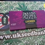 Image for the Tweet beginning: Hmm Lavender 😍 😍 #somaseeds