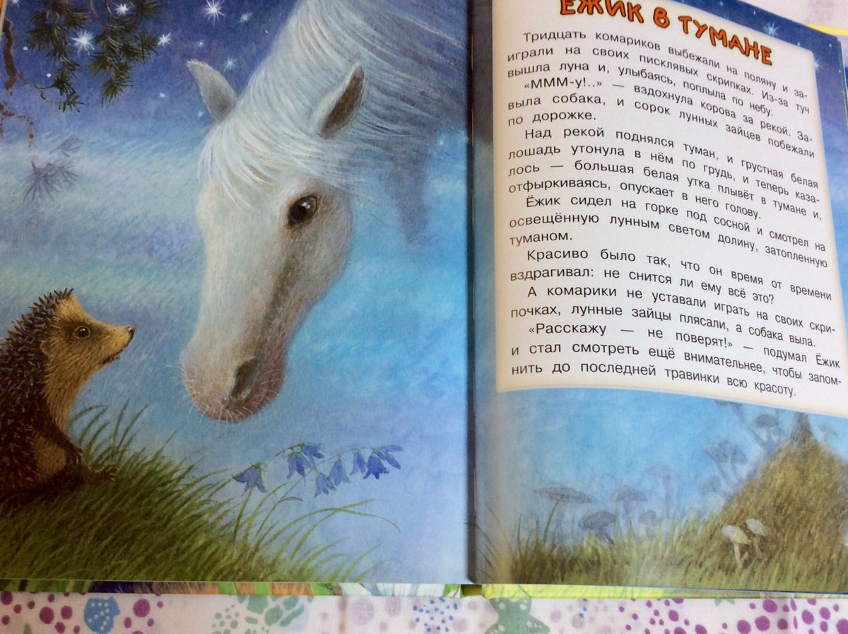 霧の中のハリネズミ