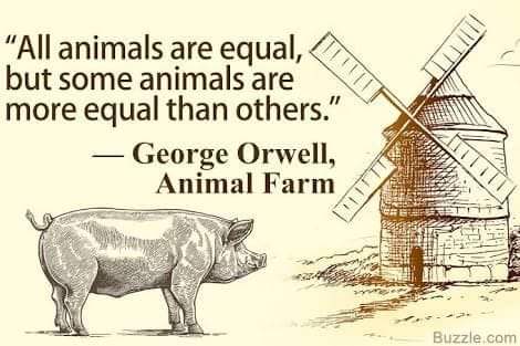 PinayAJEDI's tweet photo. I wish we get out of this mentality. May all have the same freedom of choice even when we have made a mistake. Some have gone on a long separation and lived raising their children alone without child support. Time to free them.
#DivorcePilipinas divorce is a human right!! https://t.co/ywK8GGxM9H