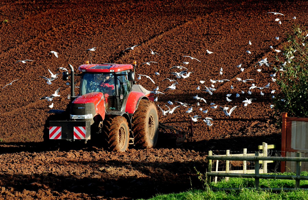 BBCNewsNI's tweet photo. Farmers urged to take more care in their workplace: https://t.co/W2fXutVVCw https://t.co/YaGorF8xwF