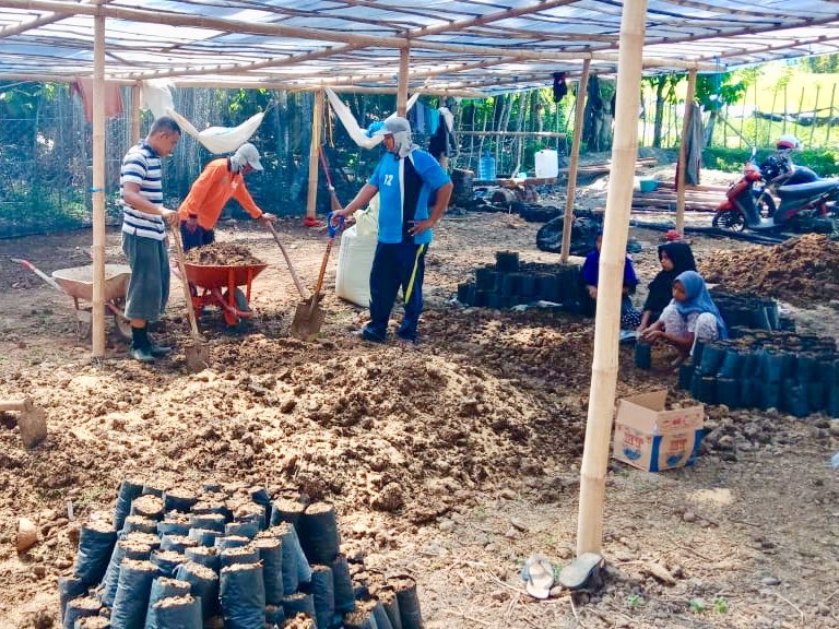 fkp2indonesia's tweet photo. TKPPLP Aceh dampingi petani pd kgiatan pengisian polybag program Desa Mandiri Benih Kakao Kelompok Tani Makmur Beurata Kab.Pidie Jaya Prov. Aceh @Amran_Sulaiman1 @asmanabnur2016 @kementan @kempanrb @ditjenbun @badansdm #PerkebunanJaya #KawalPetani #KerjaNyata #TKPPLPAceh #FKP2I https://t.co/aG707c20mv