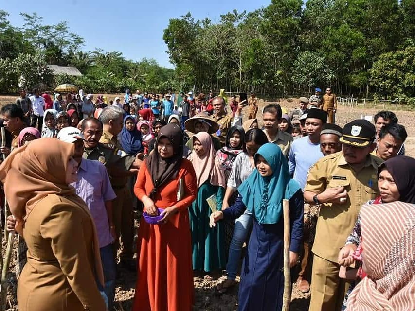 dpkppandeglang's tweet photo. Upaya Mengejar Luas Tambah Tanam (LTT) Jagung dan Kedelai hari ini disela Kunjungan Kerjanya di Desa Ciburial, Kecamatan Cimanggu  Bupati Pandeglang Ibu @irnadimyati turun langsung ke Lahan dimana Masyarakatnya sedang melakukan Gerakan Tanam (Gertam)📸@henisupiani
#upsus #pajale https://t.co/km24nzHJSx