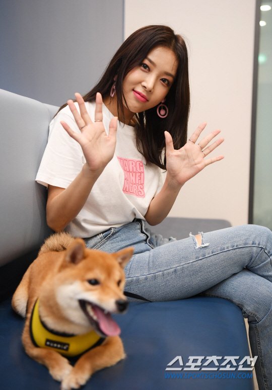 qoxie's tweet photo. [Celeb Pets ③] Yoobin "Fall In Love? I'm Too Busy With Work" (translated) 2/3 https://t.co/4oHuF1TMmt