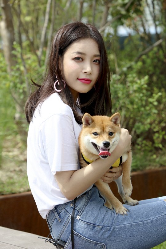 qoxie's tweet photo. [Celeb Pets ③] Yoobin "Fall In Love? I'm Too Busy With Work" (translated) 2/3 https://t.co/4oHuF1TMmt