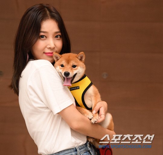 qoxie's tweet photo. [Celeb Pets ①] Yoobin "Shiba's Full Of Charm~...As Obstinate As Me" (translated) 3/3. This isn't very good/accurate. Almost discarded it, but here's the gist anyway. https://t.co/xZIapmN43j
