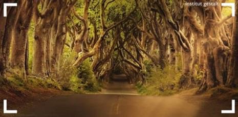 InstitutGestalt's tweet image. [REFLEXIONES] 🤔💭
Lo que importa verdaderamente en la vida no son los objetivos que nos marcamos, sino los caminos que seguimos para lograrlo. #PeterBamm