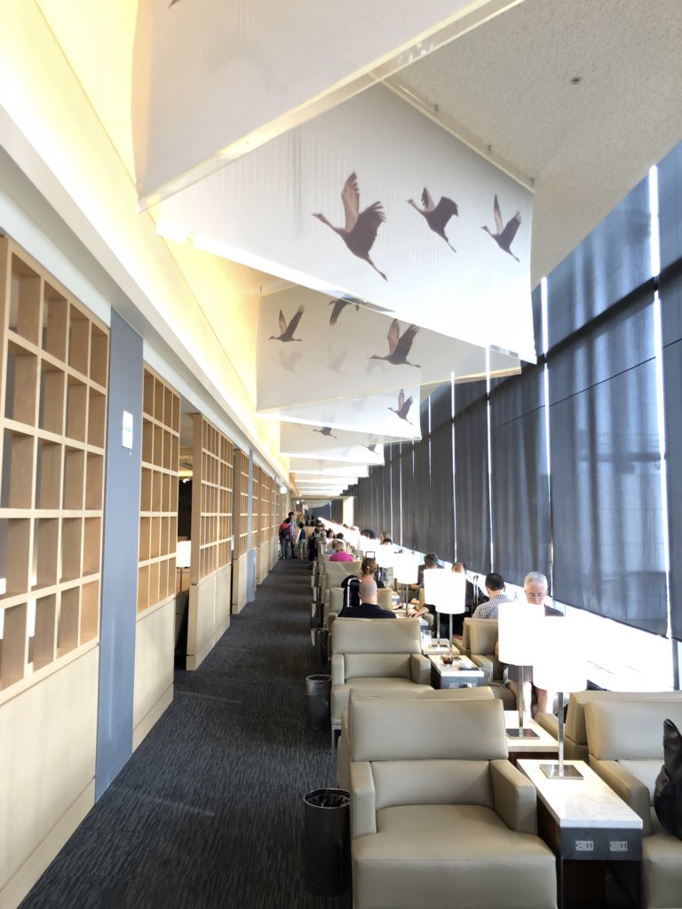 chadnico's tweet photo. Thanks @United for the awesome food and service at your #Narita #Tokyo #UnitedClub!! #peaceful and #spacious, #ready for the #15hour flight back to #Chicago!! https://t.co/5iEM0oHPpr