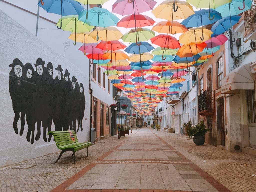 ルイス前田 ただいまのポルトガルは朝8時 現地よりアゲダ傘祭りの様子をお届けします