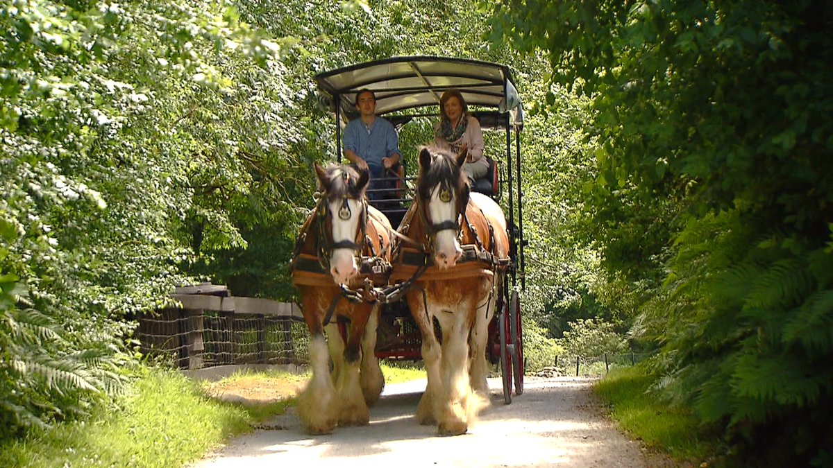 RTÉ Nationwide (@rtenationwide) on Twitter photo We step back into the past at Muckross Traditional Farm where we get a feel for Ireland from bygone days & see how life was for farmers & labourers <a href="/MuckrossHouse/">Muckross House, Gardens & Traditional Farms</a> on #RTENationwide Mon 16th July <a href="/RTEOne/">RTÉ One</a> 7pm & RTE+1 8pm <a href="/KillarneyGuide/">Killarney Guide</a> <a href="/TourismIreland/">Tourism Ireland</a> <a href="/countykerry/">Kerry County Council - Comhairle Contae Chiarraí</a> <a href="/radiokerry/">Radio Kerry</a> RT We step back into the past at Muckross Traditional Farm where we get a feel for Ireland from bygone days & see how life was for farmers & labourers <a href="/MuckrossHouse/">Muckross House, Gardens & Traditional Farms</a> on #RTENationwide Mon 16th July <a href="/RTEOne/">RTÉ One</a> 7pm & RTE+1 8pm <a href="/KillarneyGuide/">Killarney Guide</a> <a href="/TourismIreland/">Tourism Ireland</a> <a href="/countykerry/">Kerry County Council - Comhairle Contae Chiarraí</a> <a href="/radiokerry/">Radio Kerry</a> RT