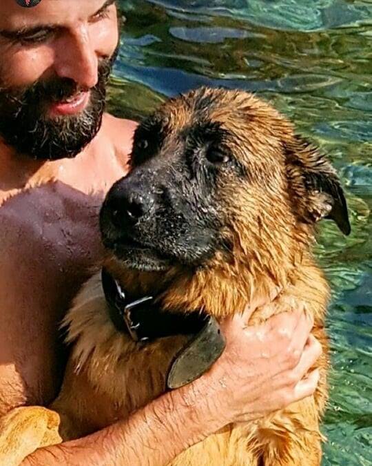 AddictedtoMAA's tweet photo. #MehmetAkifAlakurt https://t.co/mQY5RLGotT