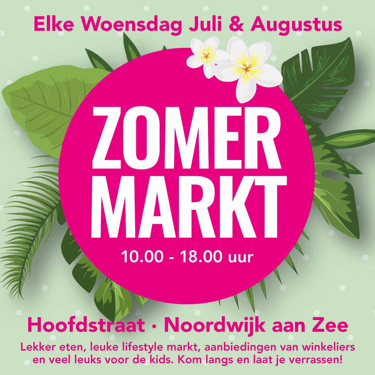 converse all stars aanbieding