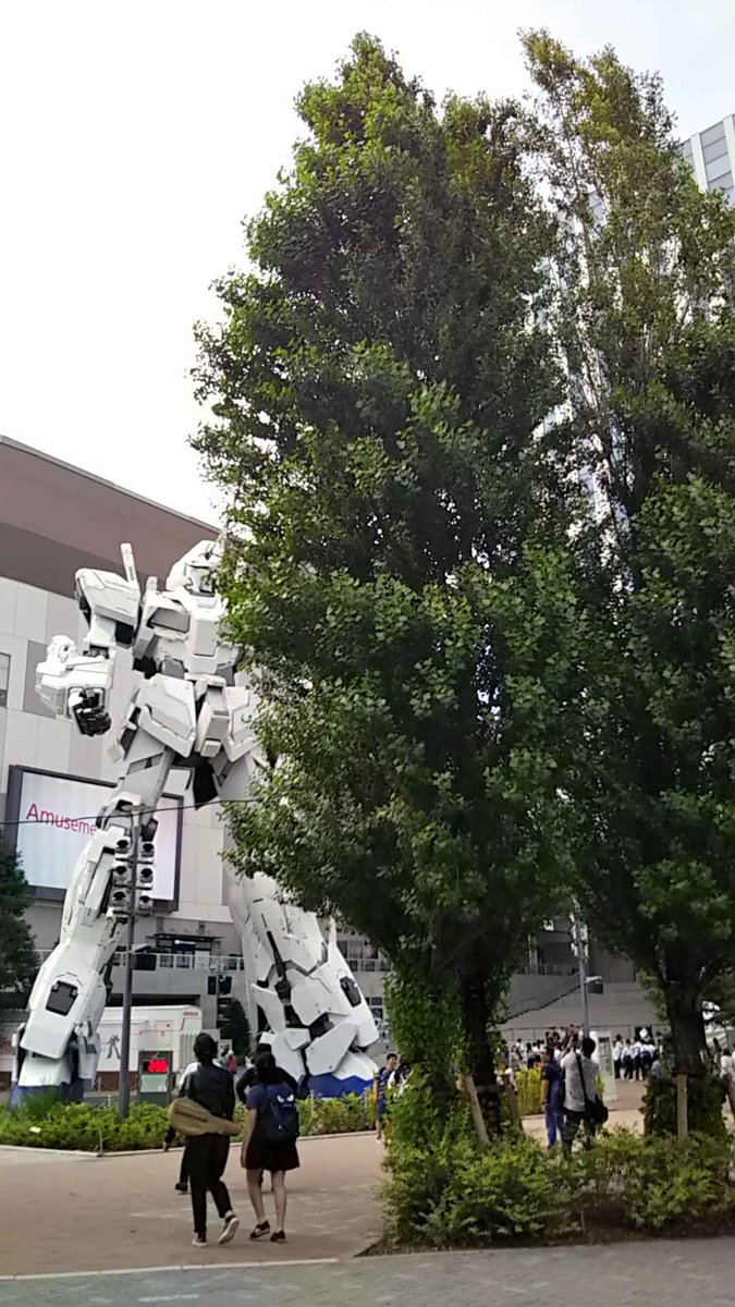 花咲g 東京ポプラ探訪 お台場 の ガンダム の巨大な像が立つ広場にも ポプラ並木 があります 側枝を伸ばしてイチョウのような樹形に仕立ててあるのでポプラらしくありませんが ポプラの陰からひょっこりガンダムとか ポプラ軍と対峙するガンダムなど 花咲g 東京ポプラ探訪 お台場 の ガンダム の巨大な像が立つ広場にも ポプラ並木 があります 側枝を伸ばしてイチョウのような樹形に仕立ててあるのでポプラらしくありませんが ポプラの陰からひょっこりガンダムとか ポプラ軍と対峙するガンダムなど