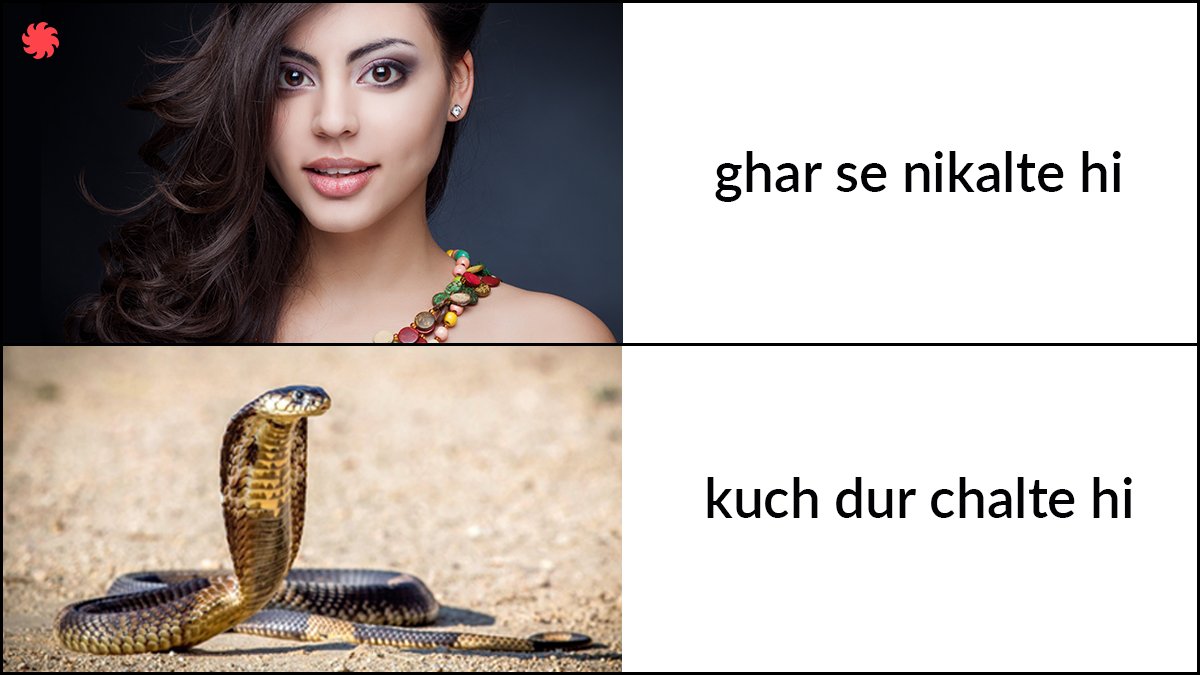 juggernautbooks Twitter પર: "Happy World Snake Day! https://t.co/f2pYz30RlM  #nagin #mondaymotivation @freentglty #meme… "