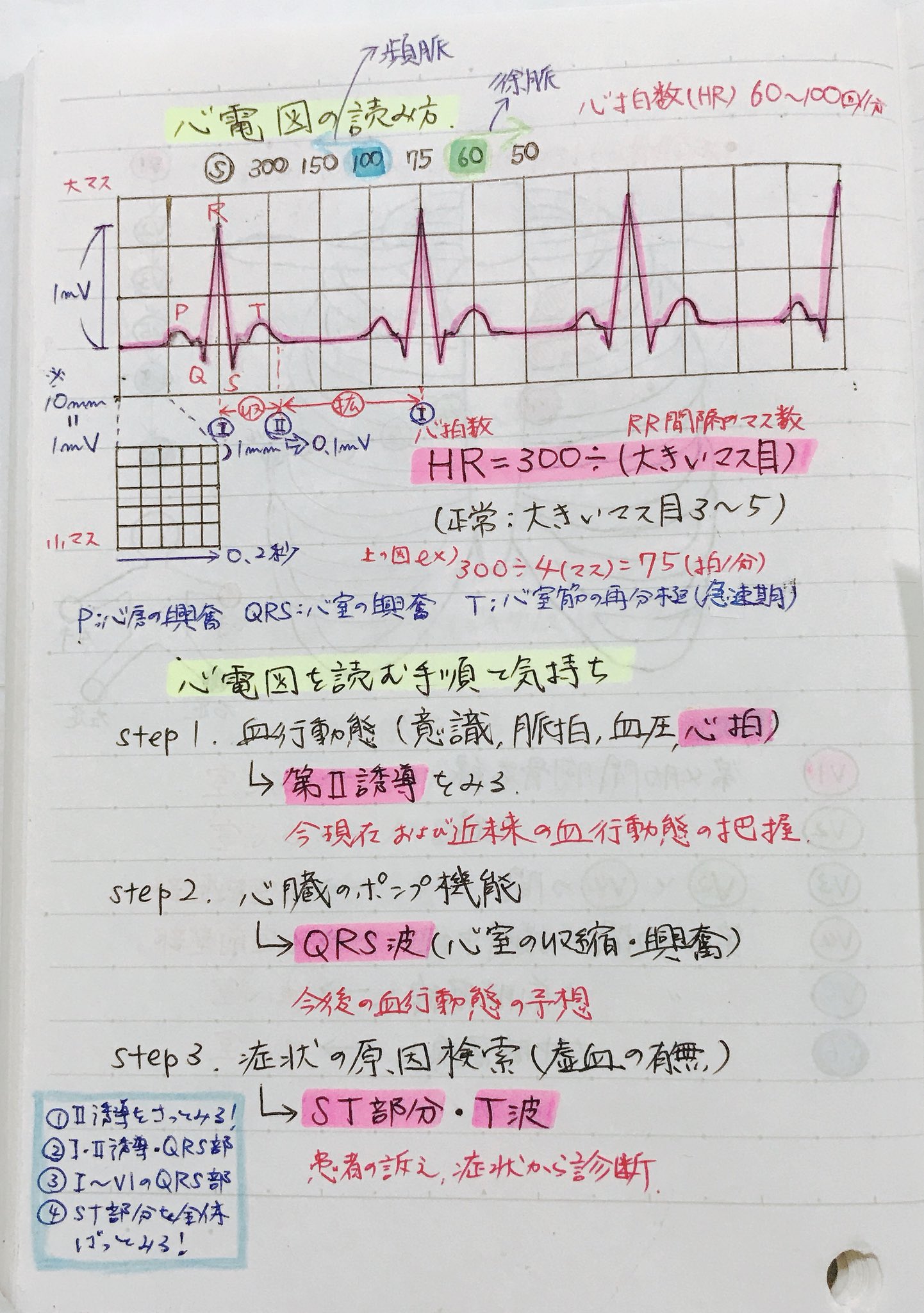 心電図解説セット！ 看護師国家試験対策 看護実習 い了解 循環器