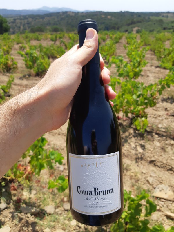 CellerEspelt's tweet photo. #Enoturisme a les vinyes velles, molt velles de #Rabós amb tast de vi de #terroir > #ComaBruna @DOEmporda https://t.co/LIDyLNm088 I aquest divendres 20 de juliol, descobrim la lleva del #suro. Us apunteu? #vicatalà #paisatge #cultura https://t.co/54kl7Gs4MP