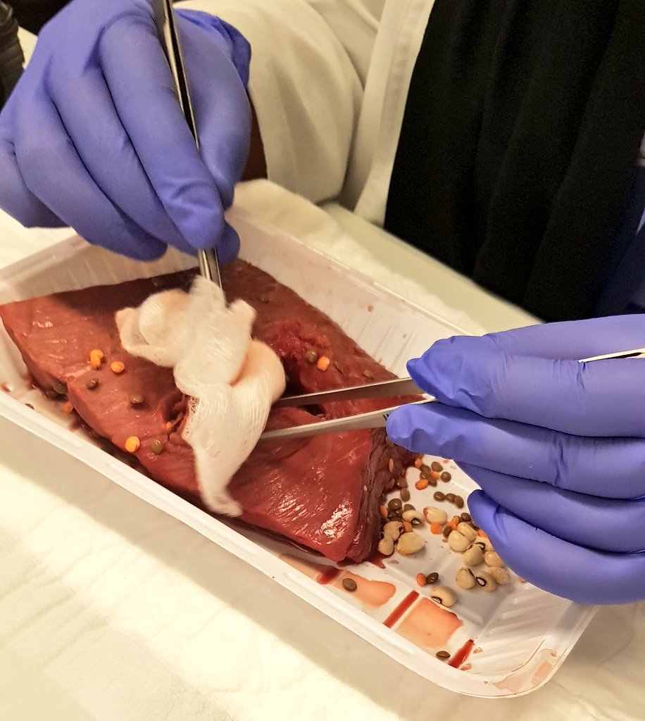 BOSS_COURSE's tweet photo. Basic Operative Surgical Skills #BOSSCOURSE 15-19 July Riyadh #SFH DAY 2. https://t.co/UbsEJHkT0y