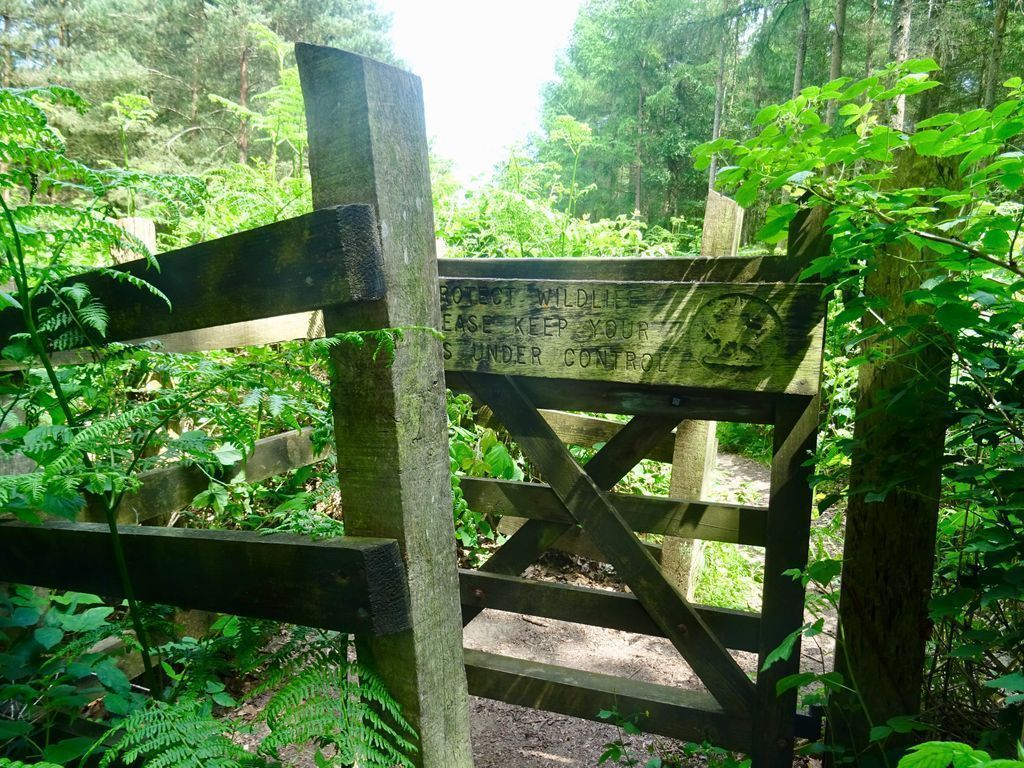 Spending time in the countryside is a great way to experience #Surrey!
Learn more: buff.ly/2L4oQux
#VisitSurrey