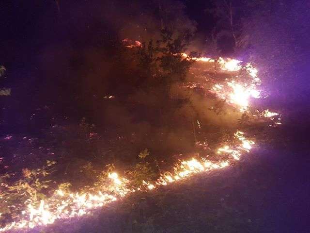 ZO_NWS's tweet photo. Een barbecue wordt gezien als de oorzaak van een grote brand op de  #Brunssummerheide zondagavond. Bij de brand ging 60 bij 100 meter natuur  verloren, ongeveer de omvang van een voetbalveld.
https://t.co/BGmwawigN9 https://t.co/OpsXHVUTlV