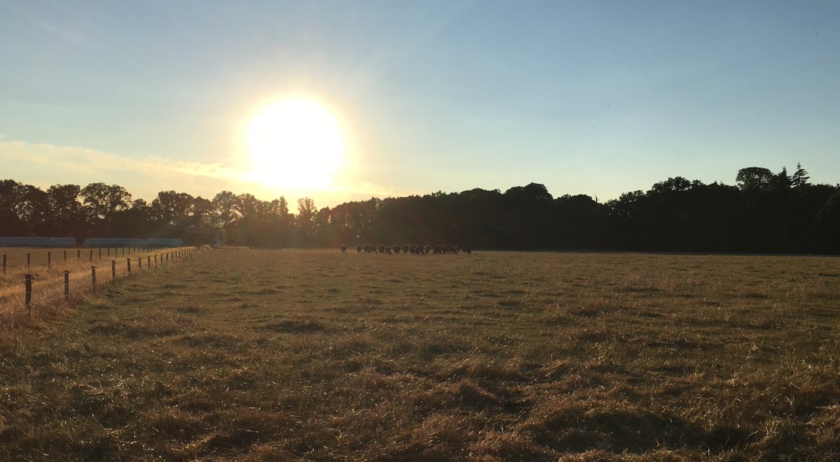 We worden deze zomermaanden verwend met heerlijk weer, perfect om van de zon te genieten. Nadeel is dat het gras niet zo hard groeit en wij daarom stiekem hopen op een flinke plensbui :)

#nietalsweophetterraszitten #hetlevertwelmooieplaatjesop #vakantieineigenland