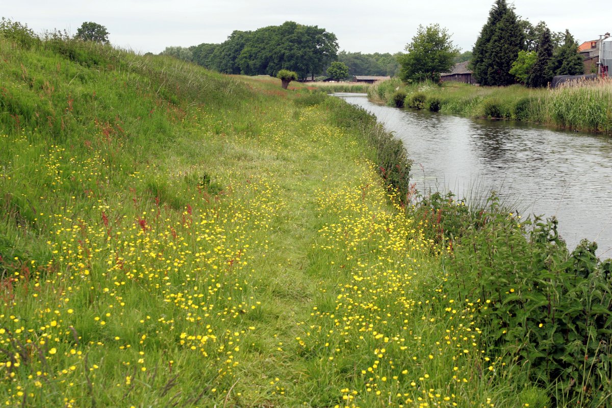 ValleienVeluwe's tweet photo. 'Droogte: we staan er samen voor!' Heemraad @DirkSiert Schoonman blogt over droogte en de actieve rol van het waterschap >> https://t.co/fiJ58dTimL @chr_weijts @nrc #droogte #samenwerken #ontrekkingsverbod @waterschappen @MarjaReynders https://t.co/QBKBzaAWNx