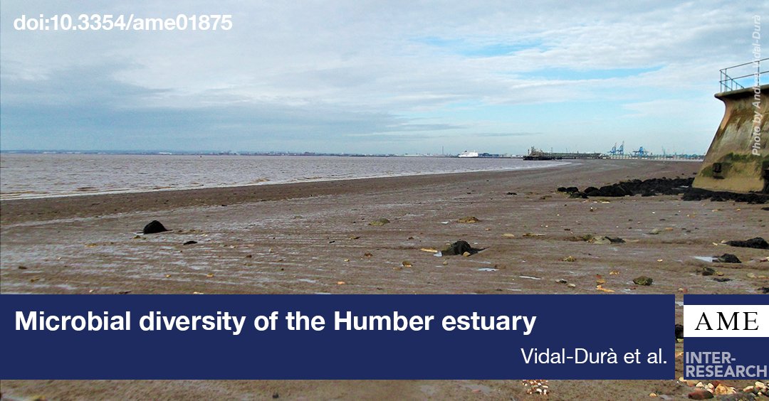AME_IntRes's tweet image. #Benthic #microbialcommunities show #diversity trends along the #Humber estuarine gradient when using #Hillnumbers. #AME #OA doi.org/10.3354/ame018…