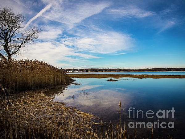lisartop's tweet photo. New artwork for sale! - "Brisk Still Lagoon" - https://t.co/UxS5DzHLcp @fineartamerica https://t.co/YDCj7MRrmq