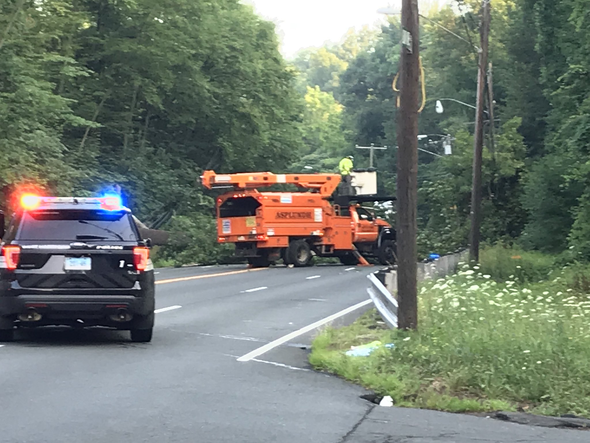 Asplundh Tree Service Trucks