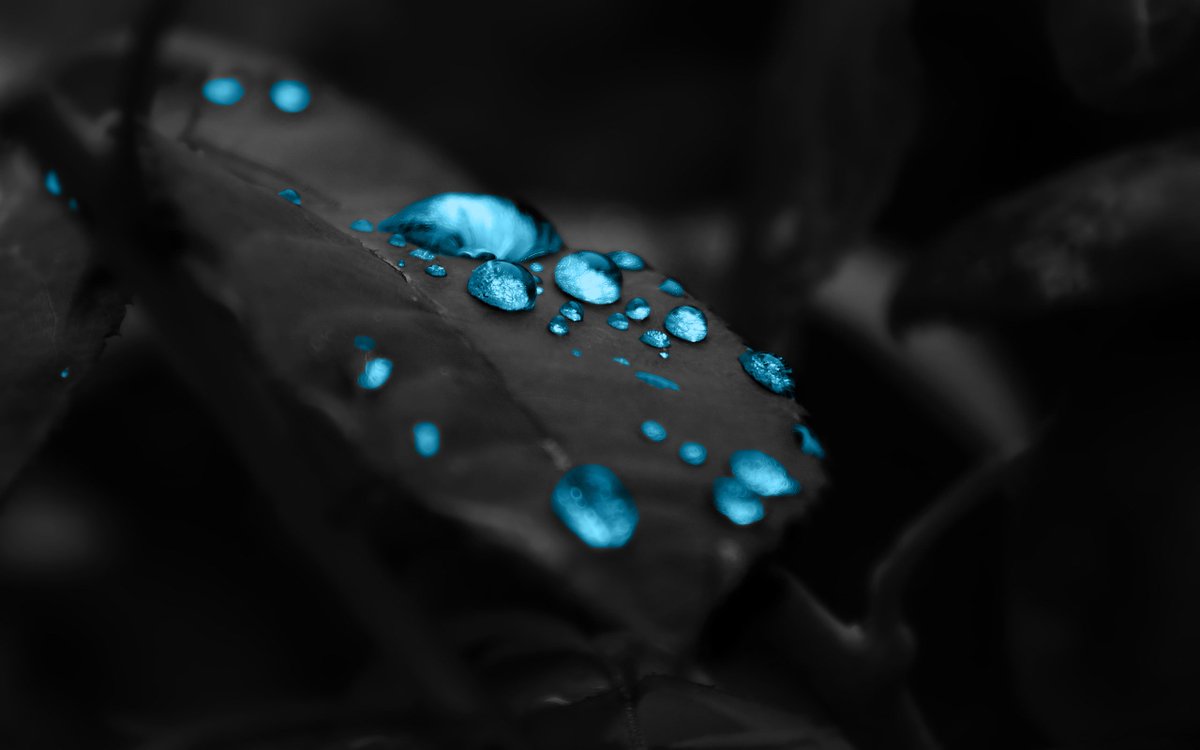 idealWallpapers's tweet photo. Confession is always weakness. The grave soul keeps its own secrets, and takes its own punishment in silence.
New Wallpapers Collection:
https://t.co/3ZWoxcheBk https://t.co/CDi8LxmGIK