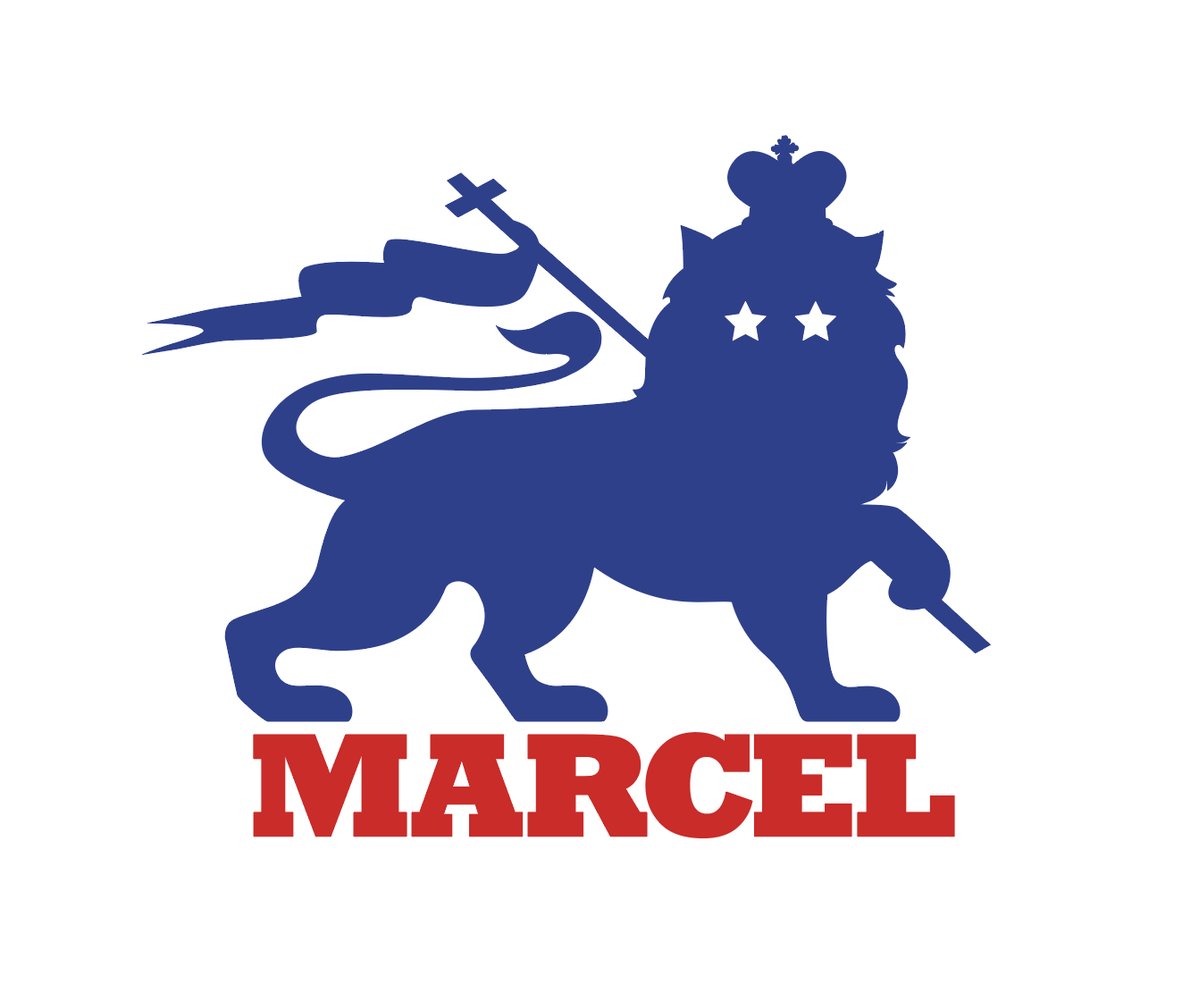 Pascal Nessim (@pascalnessim) on Twitter photo 