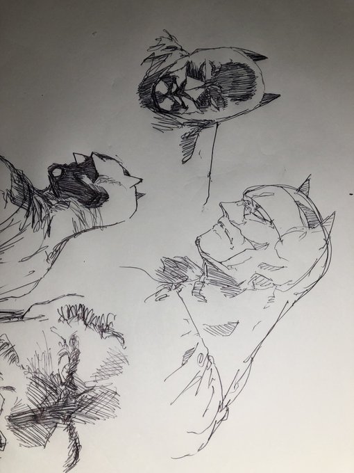 教習所で落書き 