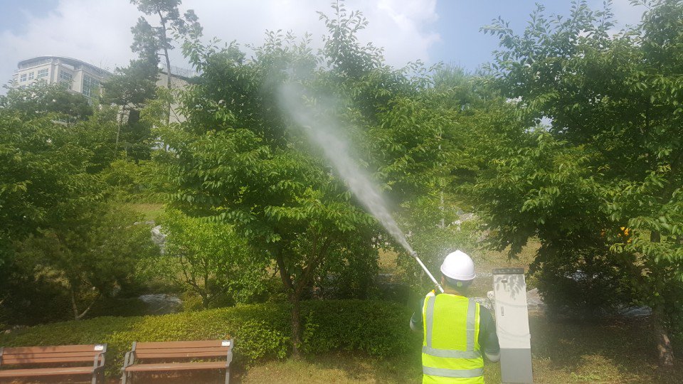 #성남시 #공원과
요즘 공원이나 산림 등에 많이 발생하고 있는 미국선녀벌레 방제를 진행하는 중입니다. 나무에 피해를 주는 정도는 크지 않지만, 창문이나 자동차 등에 달라붙는 등 사람들에게 혐오감을 줄 수 있기 때문에 집중적으로 예찰 및 방제를 진행하고 있습니다.